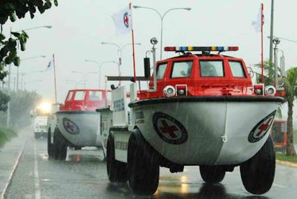 Philippine Red Cross Amphibians