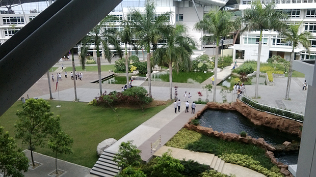 Camera-Sample-Lumia520