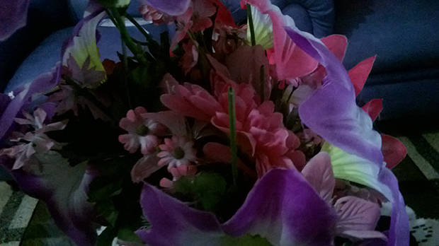 Camera-of-Nokia-Lumia-520