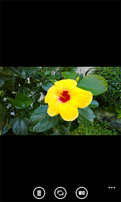 wp_ss_20131119_0005