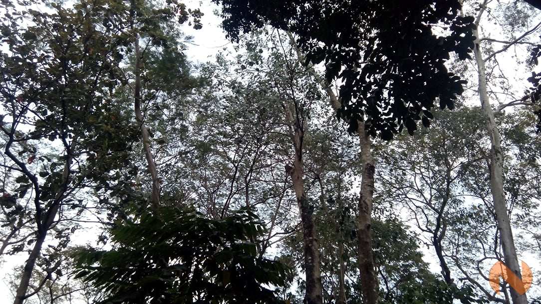 O+ Fab Elite Camera NOYPIGEEKS