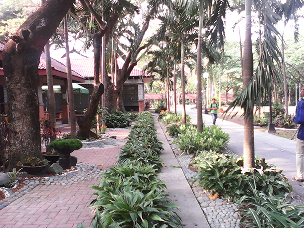 Starmobile Play image sample