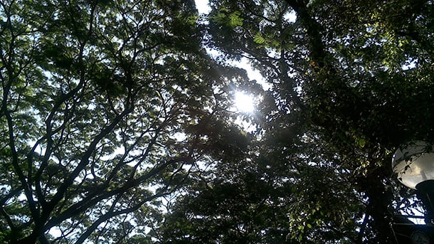 Image samples - outdoors - Iconia W4 Windows tablet