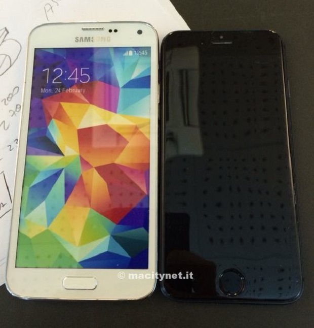 iPhone 6 dummy vs Galaxy S5