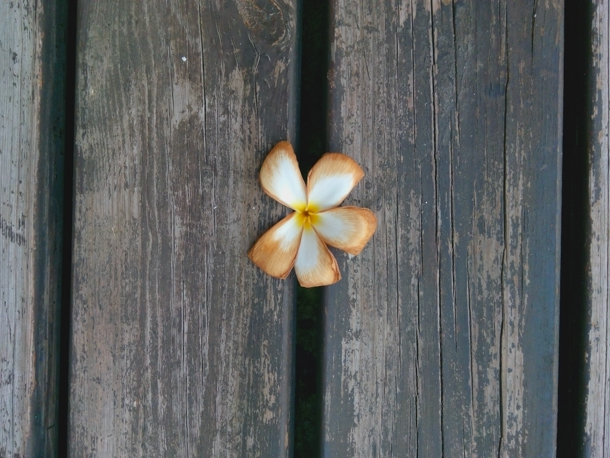 Camera-samples-Gionee-Elife-E7-mini