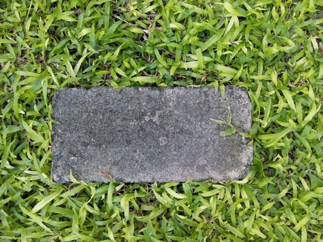 Images-O-Plus-8.17-outdoors