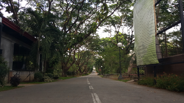 Samsung Galaxy S6 Edge camera review