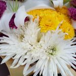 Samsung Galaxy Note 5 camera test