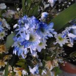Camera samples Zenfone 2 Laser 6.0