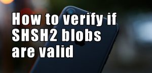 how-to-verify-shsh2-blobs-valid