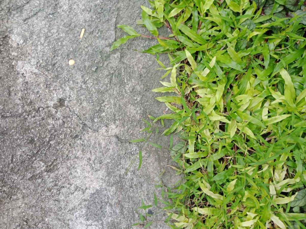 OPPO F5 camera samples-17