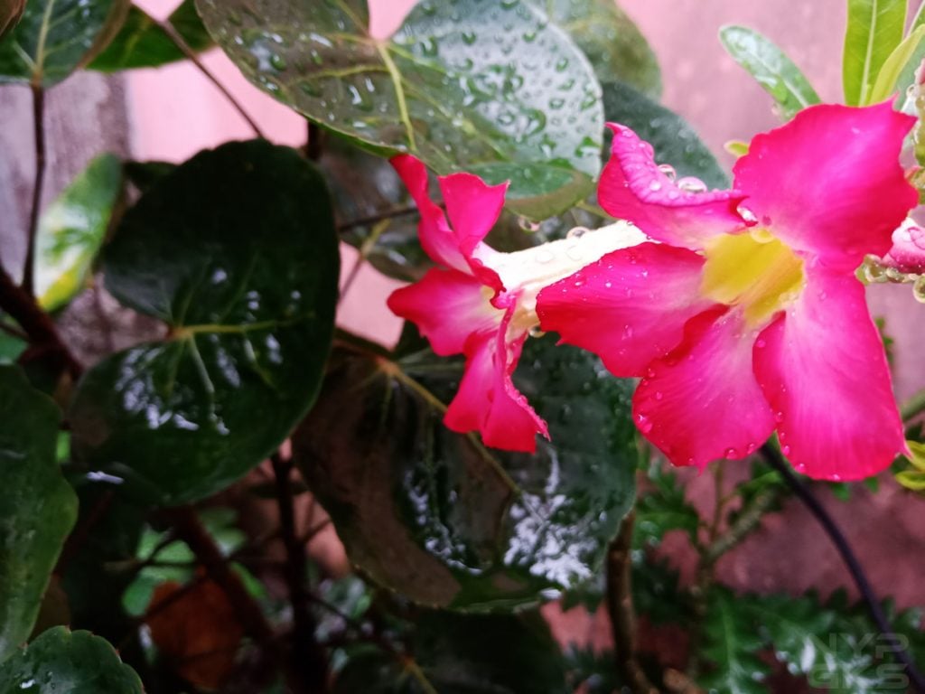 OPPO F5 camera samples-19