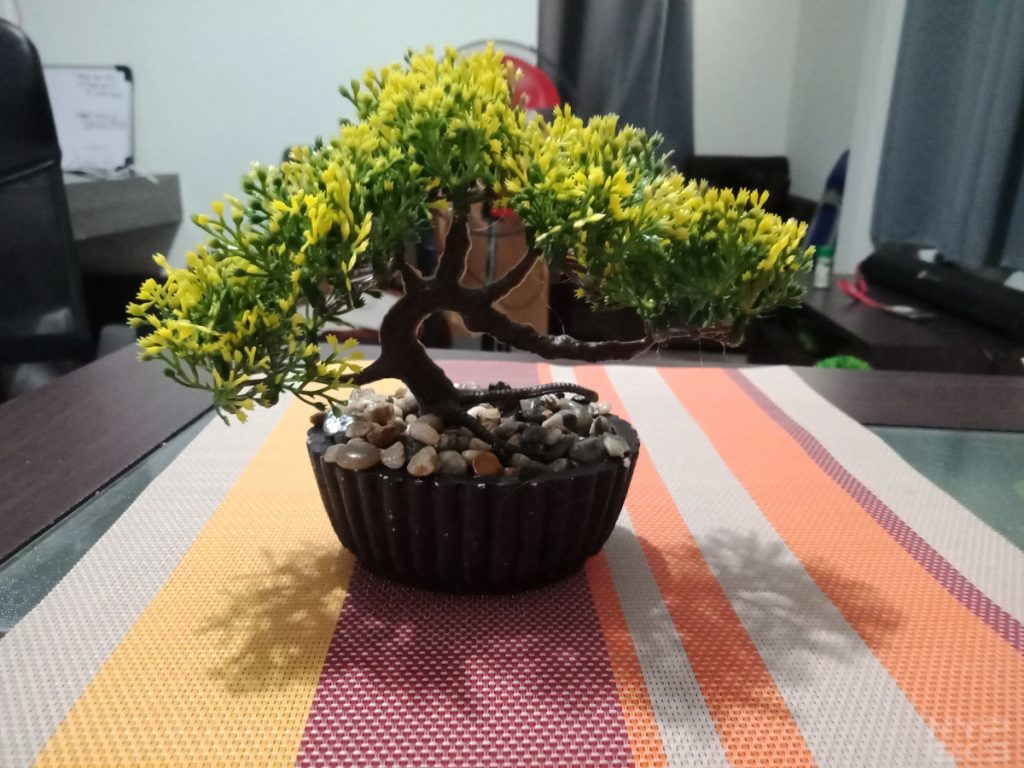 OPPO F5 Youth photo samples 3