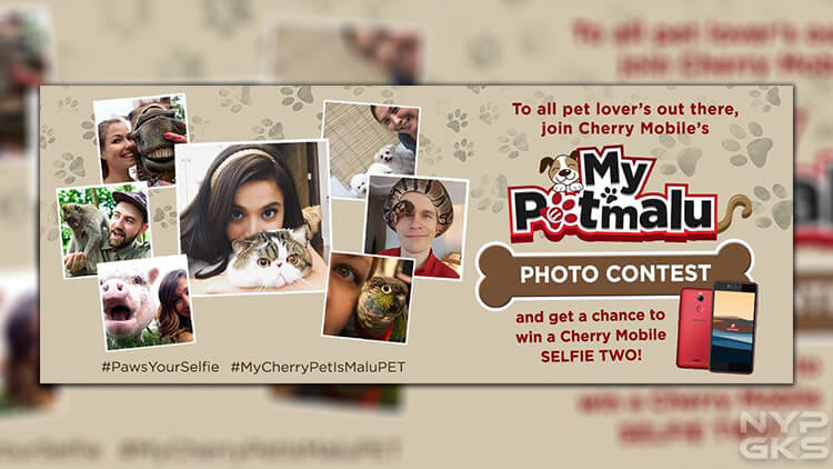 cherry mobile my petmalu contest