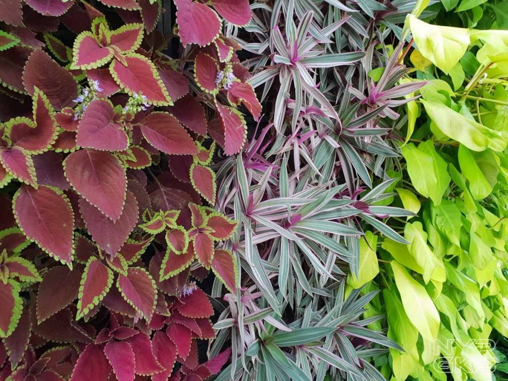 samsung galaxy s9 camera samples-11