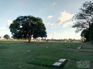 Cherry Mobile Flare S6 Plus camera samples-173059
