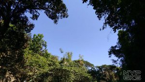 huawei-y6-2018-camera-quality-10
