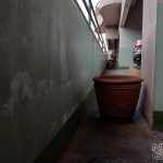 vivo-y71-camera-samples-3