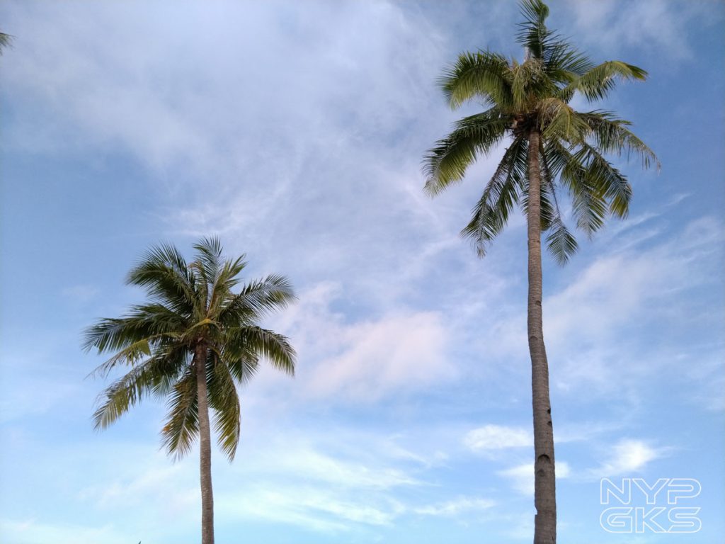 asus-zenfone-5q-camera-samples-28