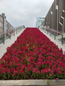 OPPO-R17-Pro-Camera-Samples-NoypiGeeks-056