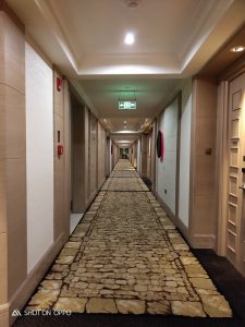 OPPO-R17-Pro-Camera-Samples-NoypiGeeks-058