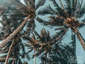boracay-asus-zenfone-5q-8