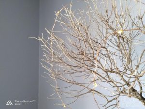 realme-c1-camera-samples-2