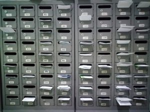 Honor 10 Lite Camera Samples