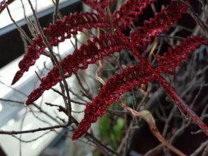 Honor 10 Lite Camera Samples