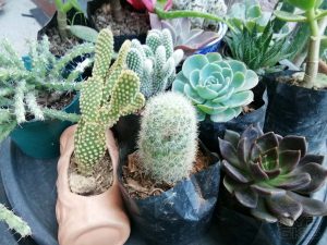 Huawei-MediaPad-M5-camera-samples