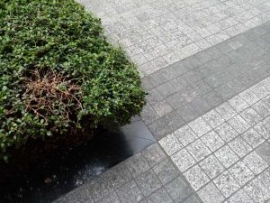 Huawei-Y6-Pro-2019-camera-samples