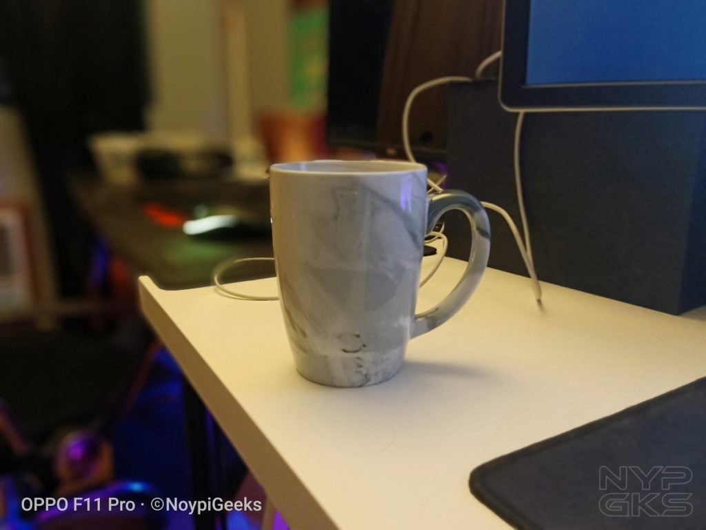 OPPO-F11-Pro-Portrait-Mode-5486