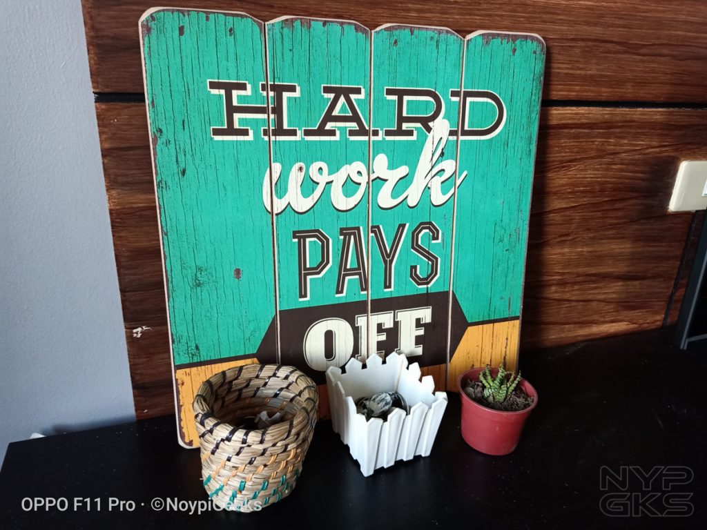 OPPO-F11-Pro-camera-samples-5496