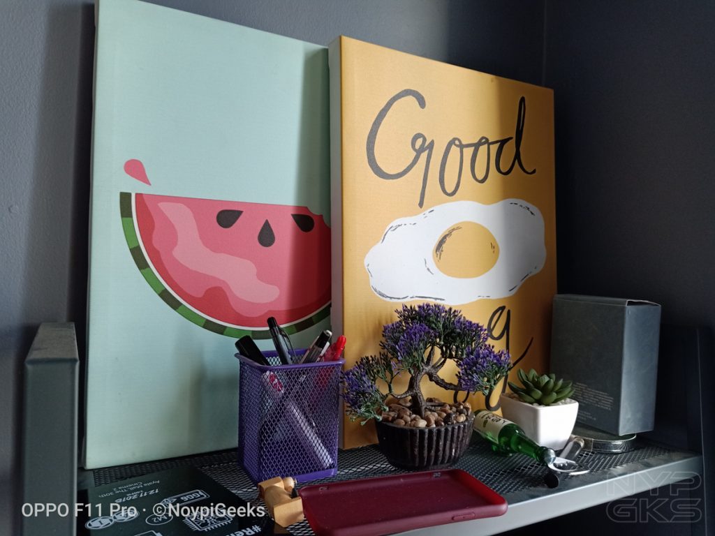 OPPO-F11-Pro-camera-samples-5501