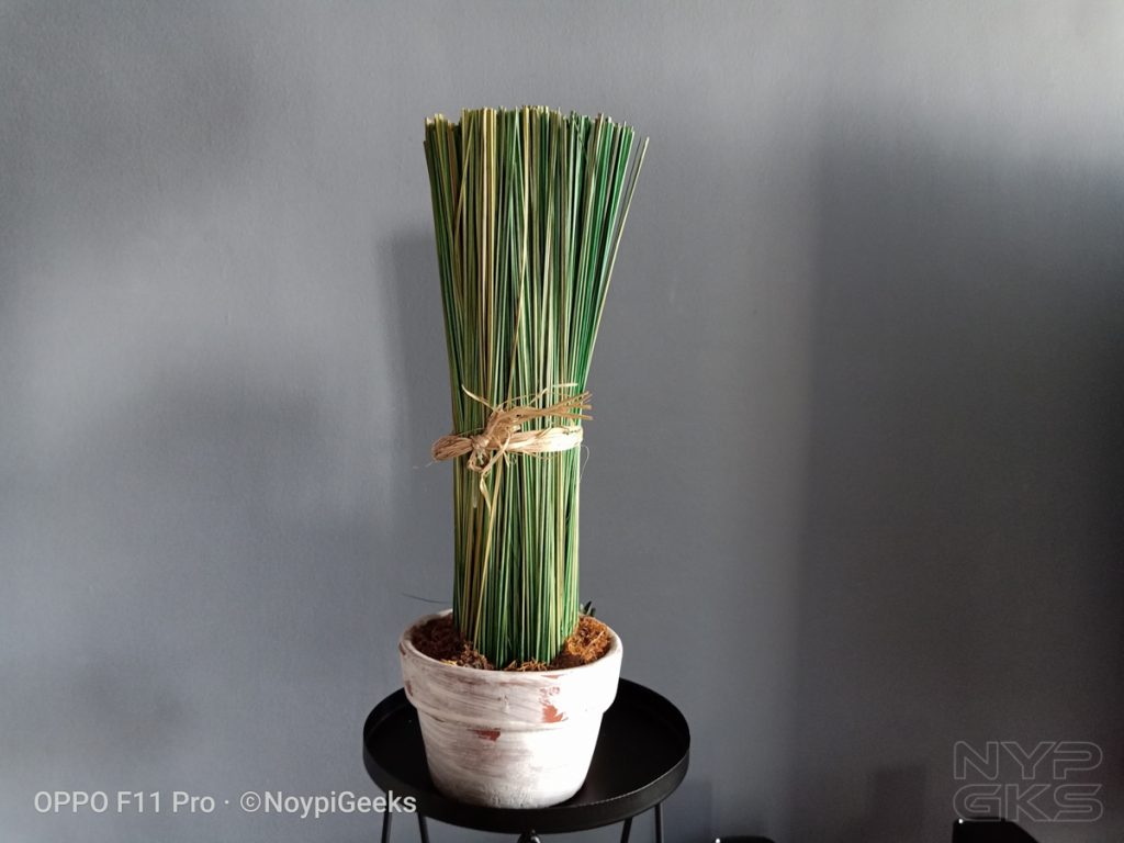 OPPO-F11-Pro-camera-samples-5507