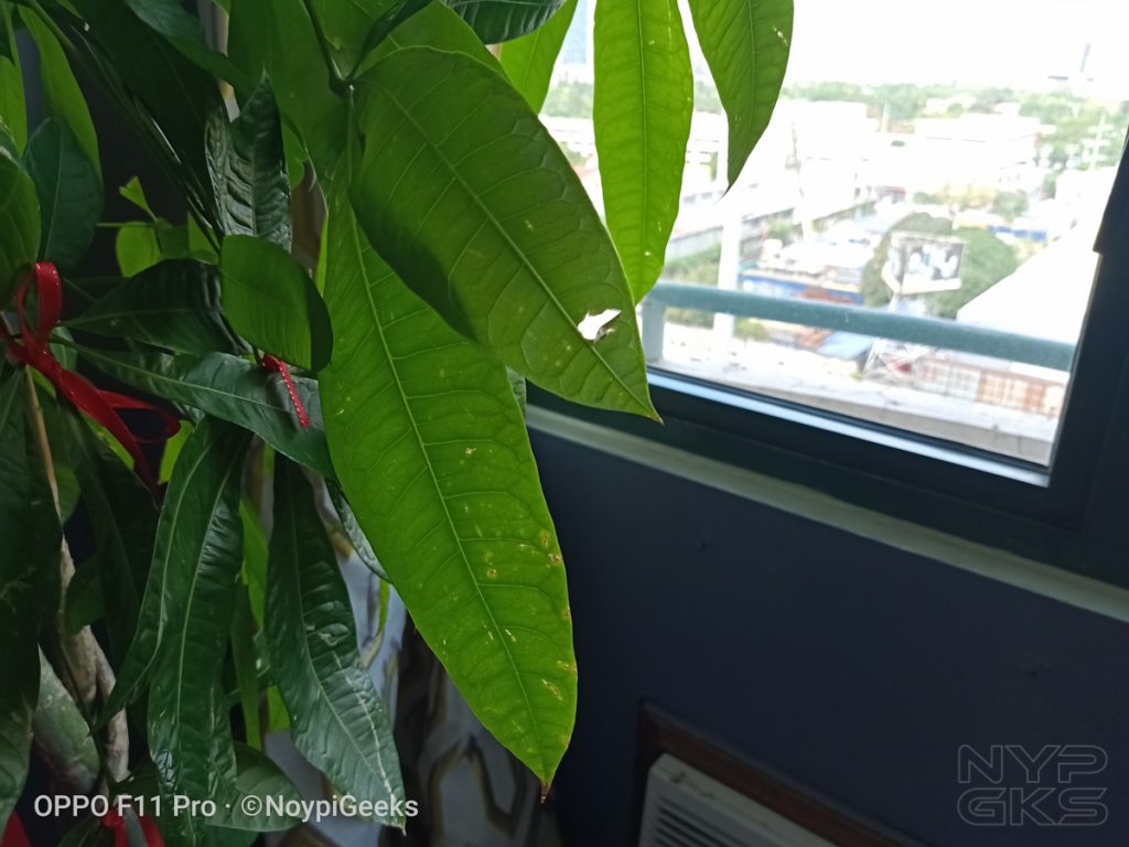 OPPO-F11-Pro-camera-samples-5509