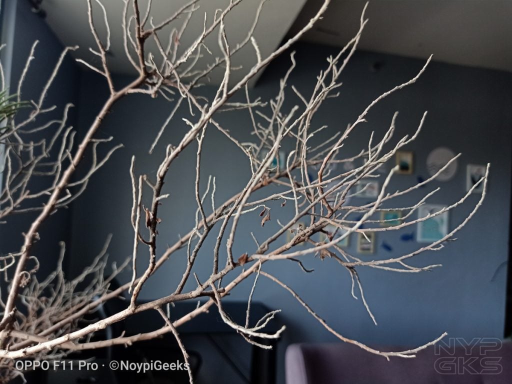 OPPO-F11-Pro-camera-samples-5510