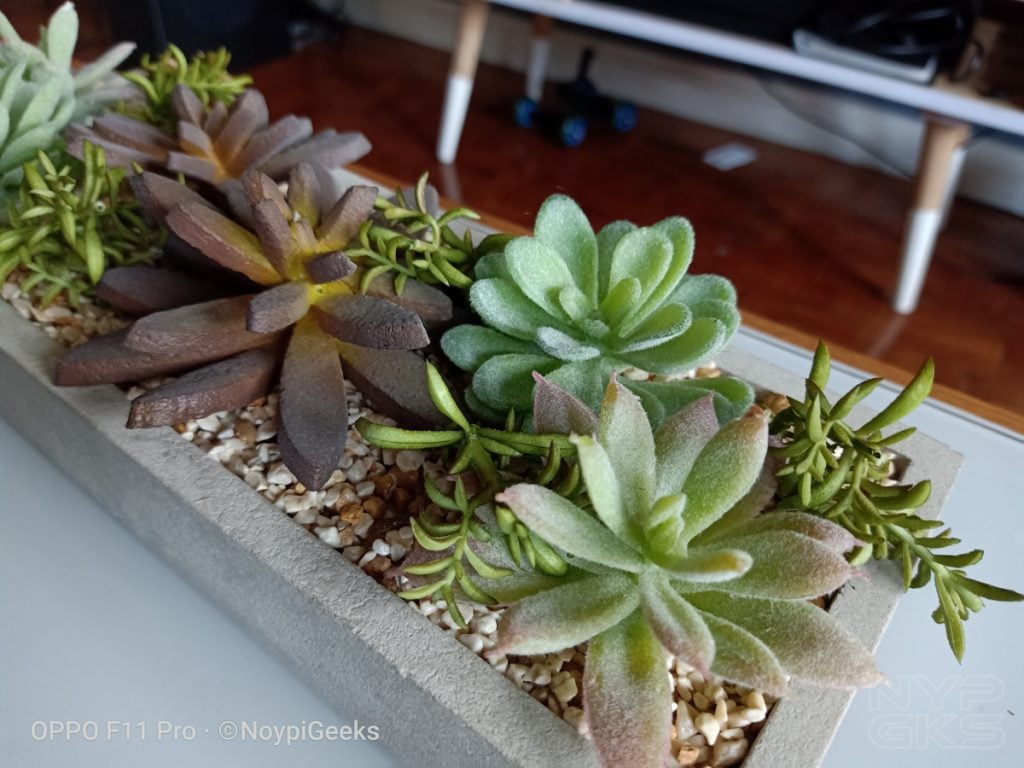 OPPO-F11-Pro-camera-samples-5512