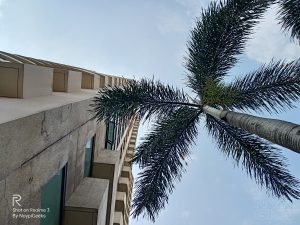 Realme-3-Camera-Samples-5243