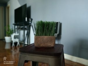 Realme-3-Portrait-Mode-5228