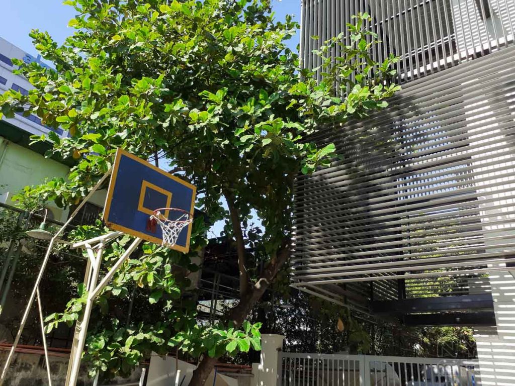 Samsung-Galaxy-M20-camera-samples