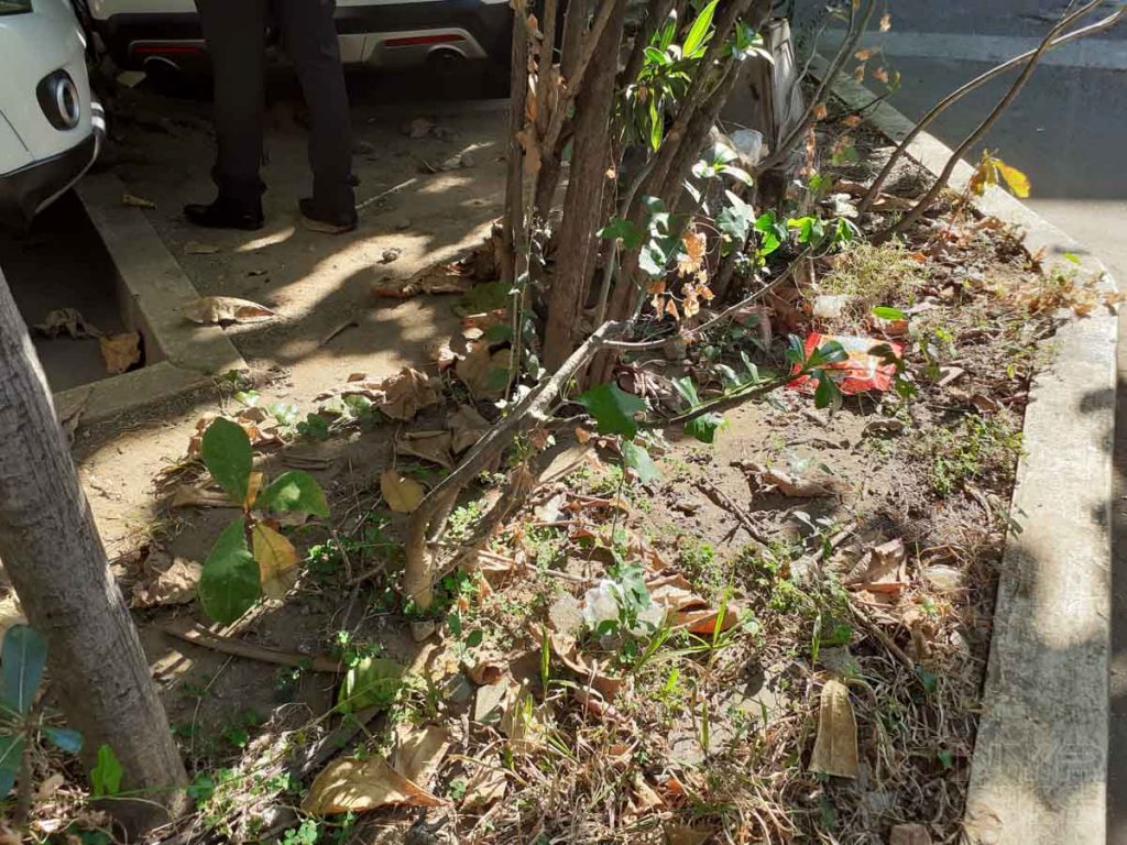 Samsung-Galaxy-M20-camera-samples