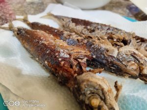 Vivo-v15-pro-camera-samples-5236