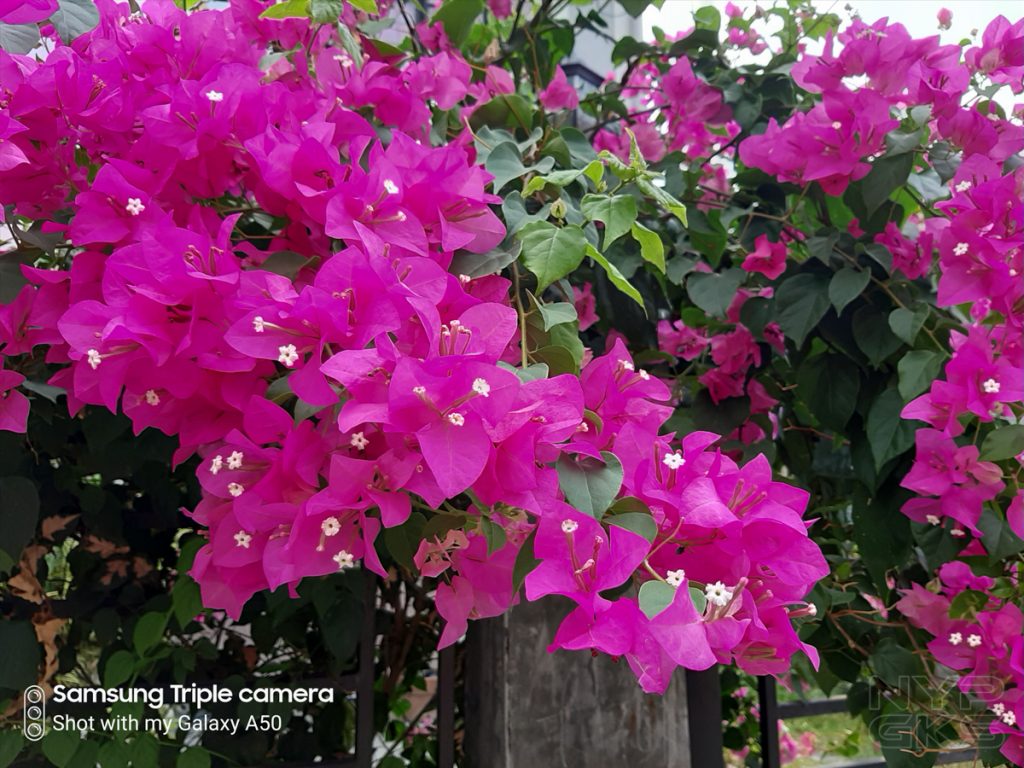 Samsung-Galaxy-A50-camera-samples-5801