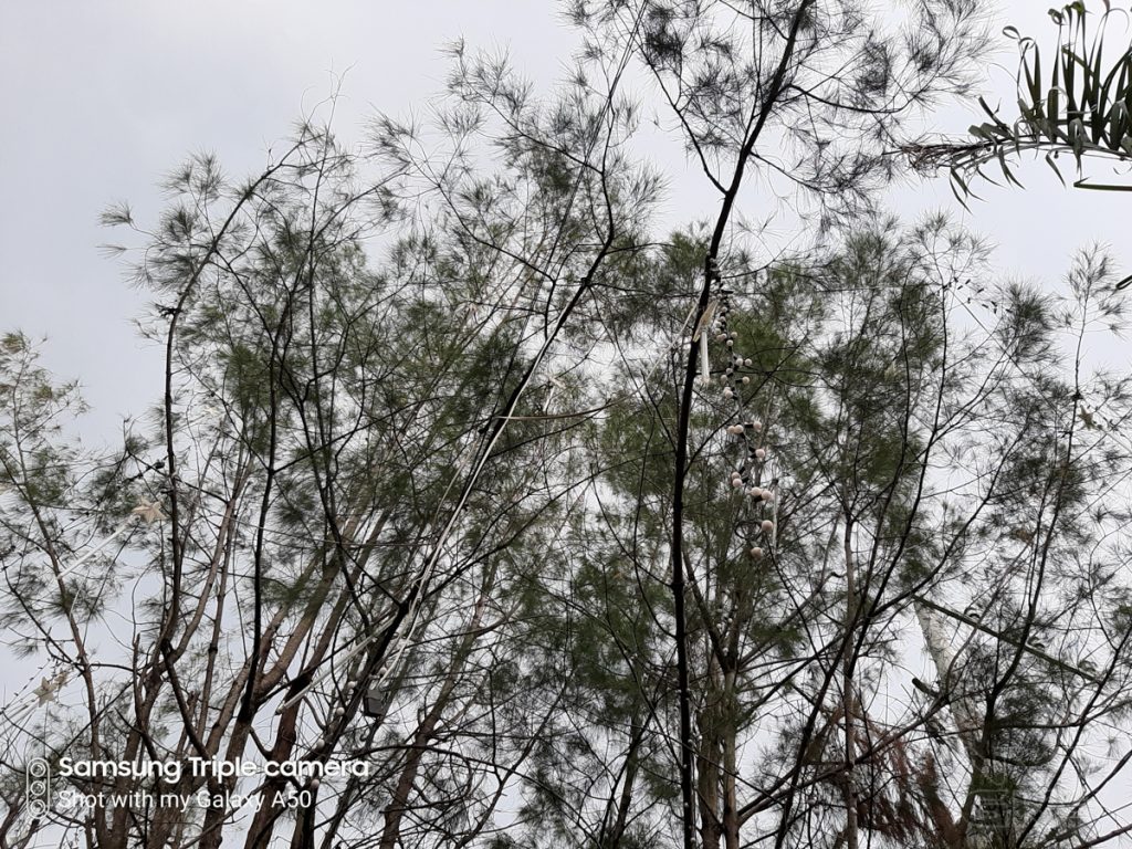 Samsung-Galaxy-A50-camera-samples-5803