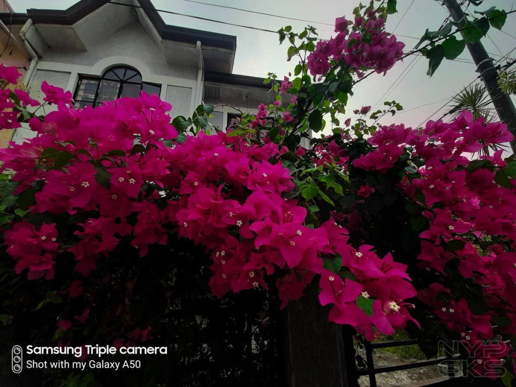 Samsung-Galaxy-A50-wide-angle-5793