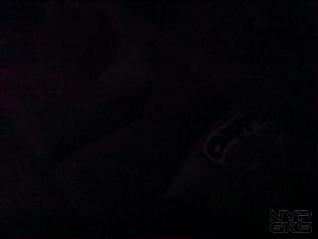 Huawei-P30-Pro-ISO-samples-5788