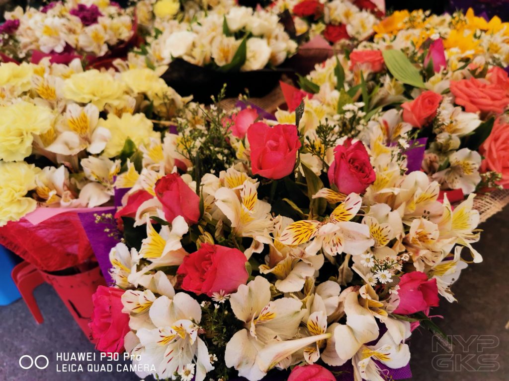 Huawei-P30-Pro-camera-samples-5790
