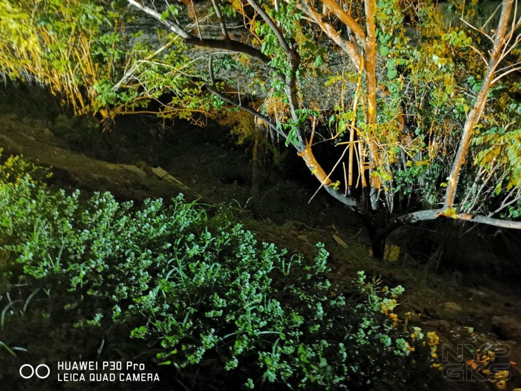 Huawei-P30-Pro-night-mode-samples-5786