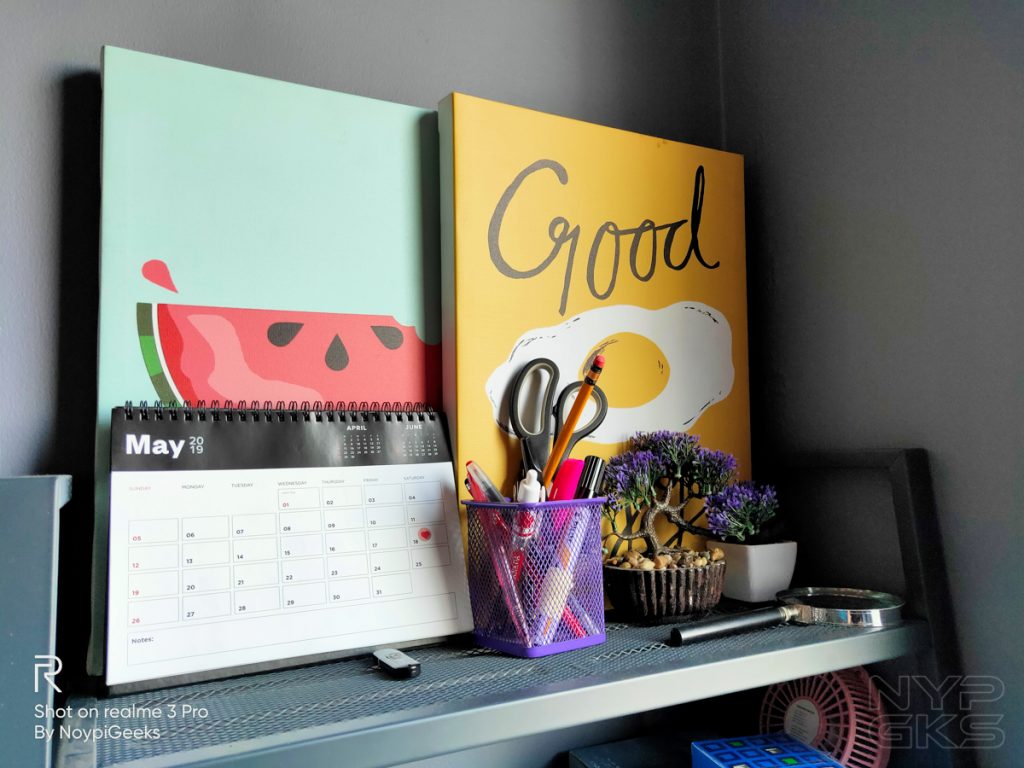 Realme-3-Pro-camera-review-5805